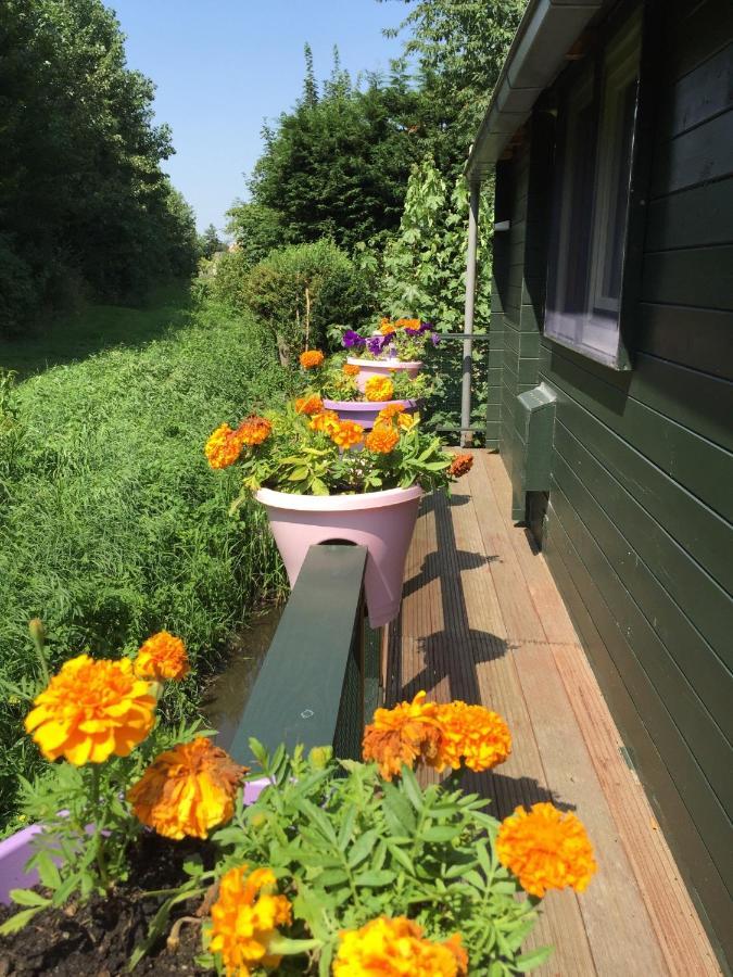 Gardenhouse Mariposa Villa Badhoevedorp Eksteriør billede
